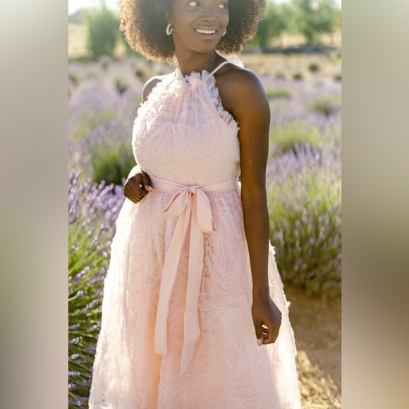NWT Shayla Tulle Halter Dress in Light Pink - Size Medium - Picture 3 of 13